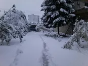 برف آمل مازندران