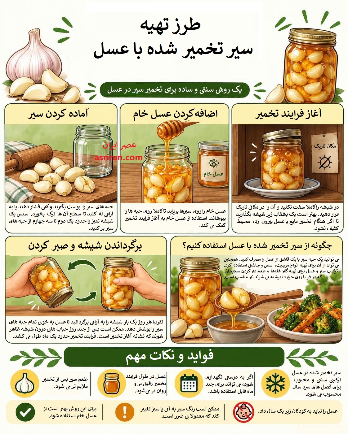 سیر و عسل؛ معجون طلایی یا بمب جانبی!