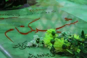 شناسایی هویت شهید گمنام پس از ۳۴ سال در اهواز