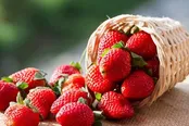 پیشگیری از زوال عقل و افسردگی با این میوه خوشمزه