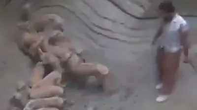 حرکت بزرگ چند جوان هرمزگانی که همه را به تحسین واداشت