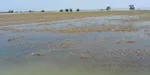 تابناک3
