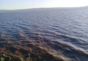 خبرهای خوش از آبگیری تالاب کجی نهبندان