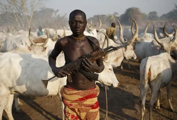 آتش نبردهای قبیله&zwnj;ای در گوشه و کنار سودان جنوبی، دوباره شعله کشیده، یک چوپان سودانی در نزدیکی رام بک در حالیکه یک کلاشنیکف در دست دارد از گاوها مراقبت می کند.بحران جنگ داخلی در سودان وضعیت بسیار وخیمی در این کشور بوجود آورده REUTERS/Goran Tomasevic