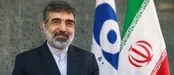 دیدار کمالوندی با رییس شرکت ملی اتمی چین
