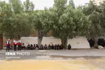 تابناک