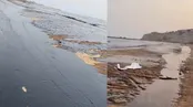 تصاویر ساحل قشم که آلودگی نفتی پیدا کرده