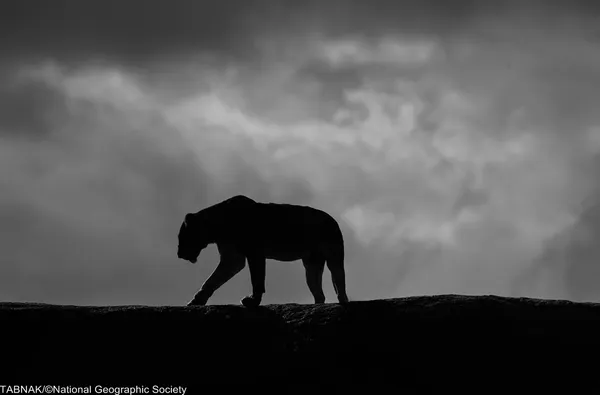 (&copy; James Kobacker/National Geographic Traveler Photo Contest)