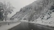 جاده شیرگاه