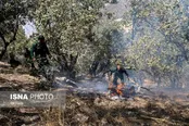 وقوع آتش‌سوزی در ۲۵ هکتار از اراضی چهارگانه تهران