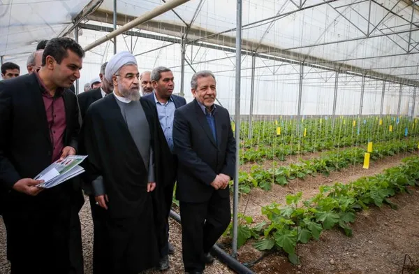 بازدید رییس جمهور از شهرک گلخانه ای پارادایس اصفهان./ISNA
