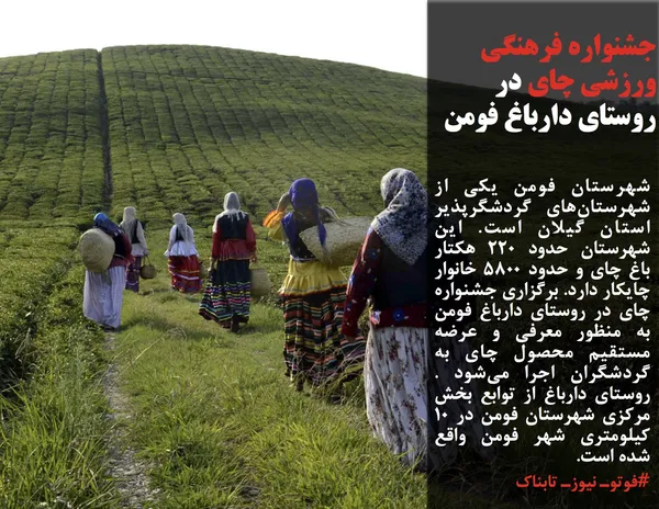 شهرستان فومن یکی از شهرستان&zwnj;های گردشگرپذیر استان گیلان است. این شهرستان حدود 220 هکتار باغ چای و حدود 5800 خانوار چایکار دارد. برگزاری جشنواره چای در روستای دارباغ فومن به منظور معرفی و عرضه مستقیم محصول چای به گردشگران اجرا می&zwnj;شود . روستای دارباغ از توابع بخش مرکزی شهرستان فومن در 10 کیلومتری شهر فومن واقع شده است.
