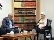 حمایت آیت‌الله سبحانی از مذاکره با آمریکا