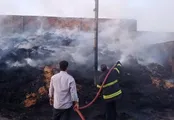 حریق گسترده یک دامداری در پاکدشت درپی اتصال برق