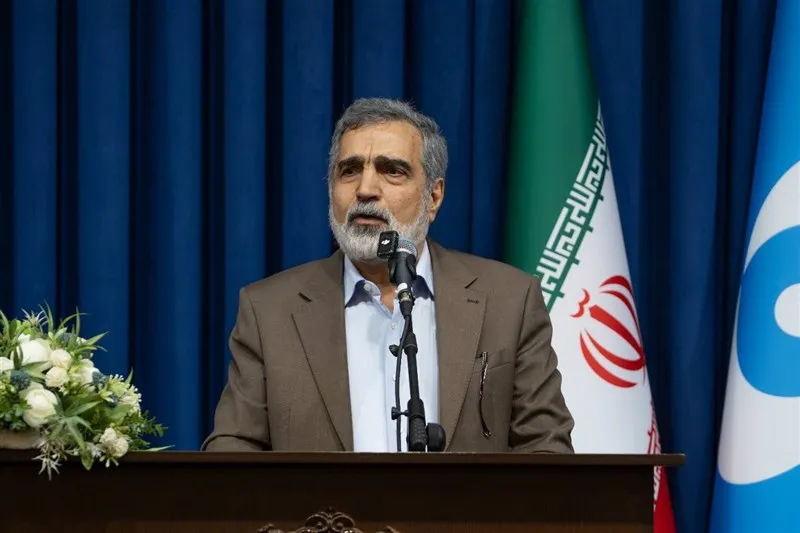 کمالوندی: ایران گزینه‌های زیادی برای دفاع از خود دارد