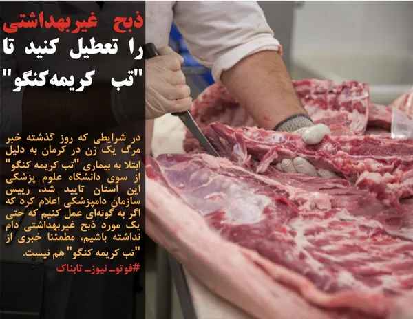 در شرایطی که روز گذشته خبر مرگ یک زن در کرمان به دلیل ابتلا به بیماری "تب کریمه کنگو" از سوی دانشگاه علوم پزشکی این استان تایید شد، رییس سازمان دامپزشکی اعلام کرد که اگر به گونه&zwnj;ای عمل کنیم که حتی یک مورد ذبح غیربهداشتی دام نداشته باشیم، مطمئنا خبری از "تب کریمه کنگو" هم نیست.

