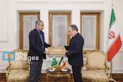 وزیر کشور پاکستان عازم تهران شد