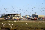 تابناک