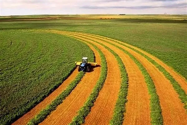 صادرات «آب مجازی» و «ژن‌های ملی» /فریاد خشکسالی یا صادرات توت‌فرنگی؟