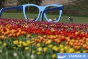 عکس‌های روز جهان:از دریچه تابناک