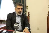 نقشه راه سوخت هسته‌ای با روسیه اجرا می‌شود