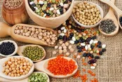 مواد غذایی ضروری برای افراد بالای ۵۰ سال