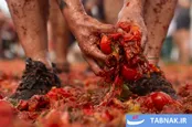 عکس:  جشنواره نبرد گوجه‌فرنگی