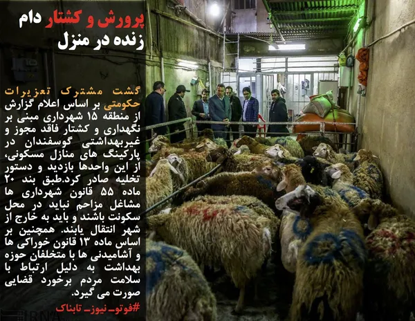 گشت مشترک تعزیرات حکومتی بر اساس اعلام گزارش از منطقه ١5 شهرداری مبنی بر نگهداری و کشتار فاقد مجوز و غیربهداشتی گوسفندان در پارکینگ های منازل مسکونی، از این واحدها بازدید و دستور تخلیه صادر کرد.طبق بند ٢٠ ماده 55 قانون شهرداری ها مشاغل مزاحم نباید در محل سکونت باشند و باید به خارج از شهر انتقال یابند. همچنین بر اساس ماده ١٣ قانون خوراکی ها و آشامیدنی ها با متخلفان حوزه بهداشت به دلیل ارتباط با سلامت مردم برخورد قضایی صورت می گیرد.
