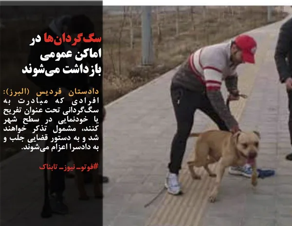 دادستان فردیس (البرز): افرادی که مبادرت به سگ&zwnj;گردانی تحت عنوان تفریح یا خودنمایی در سطح شهر کنند، مشمول تذکر خواهند شد و به دستور قضایی جلب و به دادسرا اعزام می&zwnj;شوند. 
