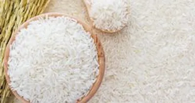 آیا آرسنیک برنج برای سلامتی خطر دارد؟