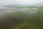 ۲