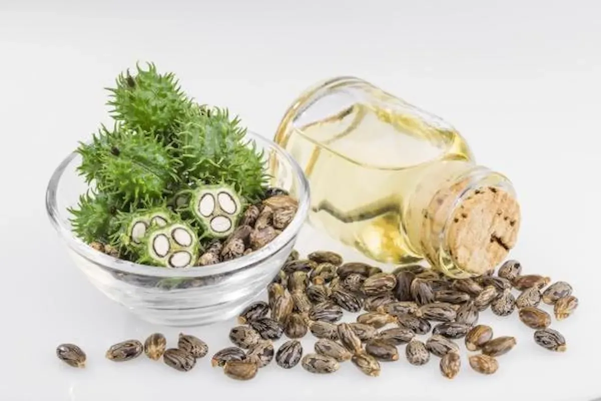 فواید روغن کرچک برای مو
