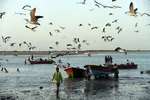 تابناک