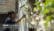 شایع‌ترین عارضه خانه‌تکانی ایرانی‌ها