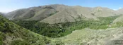 استان کردستان/شهرستان سرواباد/روستای بیساران