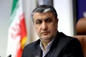 گروسی در نقشه دشمن ایفای نقش می‌کند!