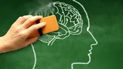 زوال عقل چیست؛ هشداردهنده‌های آن را باید بدانید!