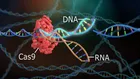 تایید رسمی نخستین درمان مبتنی بر ویرایش ژن با فناوری CRISPR