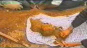 رجعت از خاک به خاک