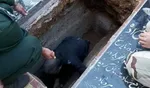 تصاویر آرامگاه ابدی حاج قاسم