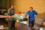 تهیه و توزیع غذا میان سیل زدگان