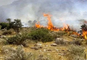 آتش برای دهمین بار در میانکاله زبانه کشید