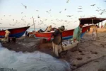 تابناک