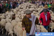 عکس: جشن بازگشت به ریشه‌ها در مادرید