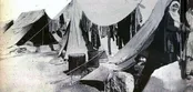 ماجرای ورود کولی‌ها به تهران