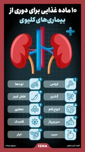 ۱۰ ماده غذایی برای دوری از بیماری‌های کلیوی