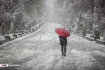 ۵
