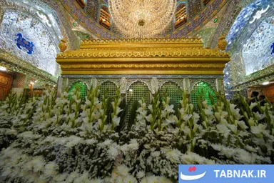 عکس:  تجلی بهار در آستانه عید ولایت؛ ضریح مطهر علوی گل‌باران شد