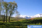 طبیعت بکر البرز مرکزی