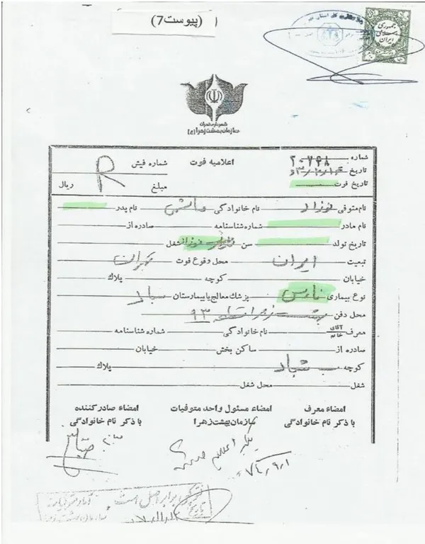 اعلامیه فوت پر است از ابهام اما یکی از ابهامات بزرگ آن، درج نام خانوادگی نوزاد است؛ حال آنکه نوزاد را به نام مادر و پدر می&zwnj;شناسند و این قسمت ها در این اعلامیه خالی مانده است.
